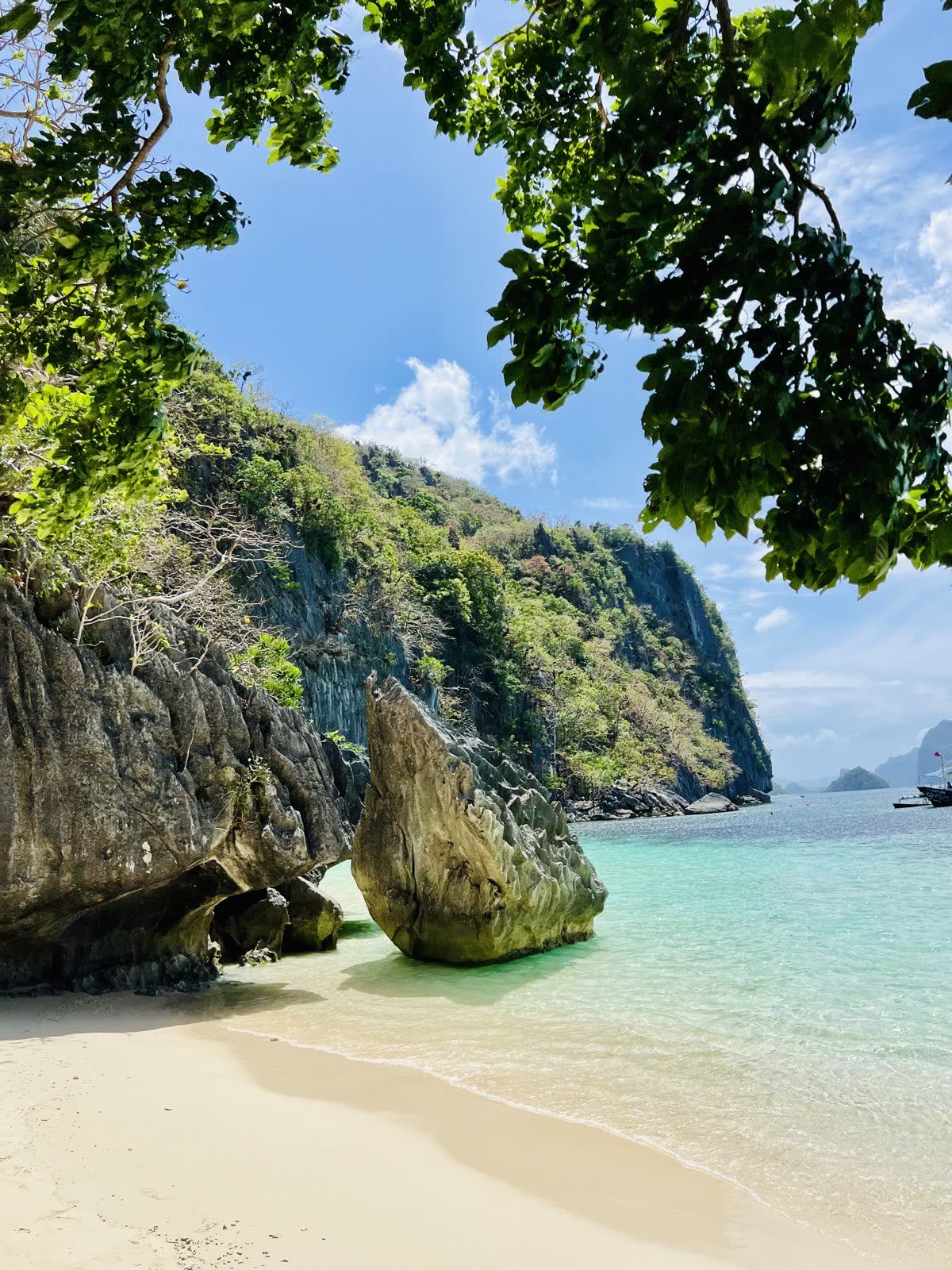 Gestionnaire e-commerce devant un tableau de commandes et de tickets SAV