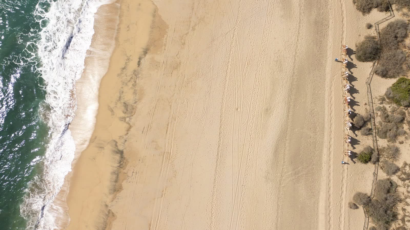 Détection d'anomalies par un agent IA dans une PME