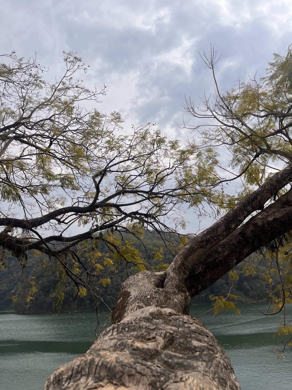 Responsables industriels en réunion de suivi de production